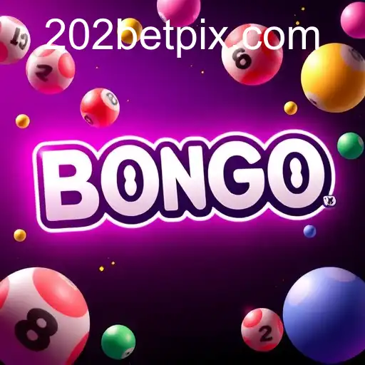 VIP Service 202bet - 24/7 Support and Exclusive Benefits